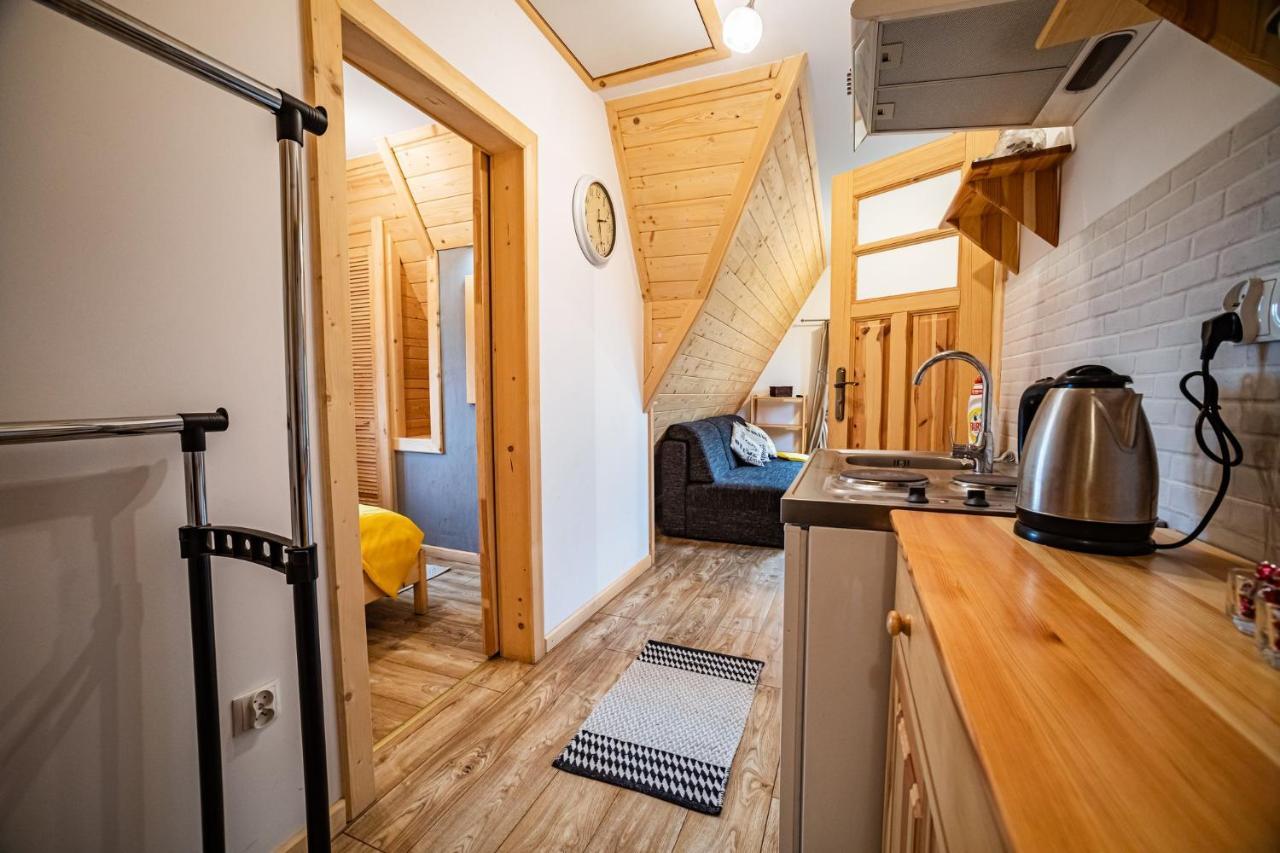 Apartament Stary Mlyn 扎科帕内 外观 照片