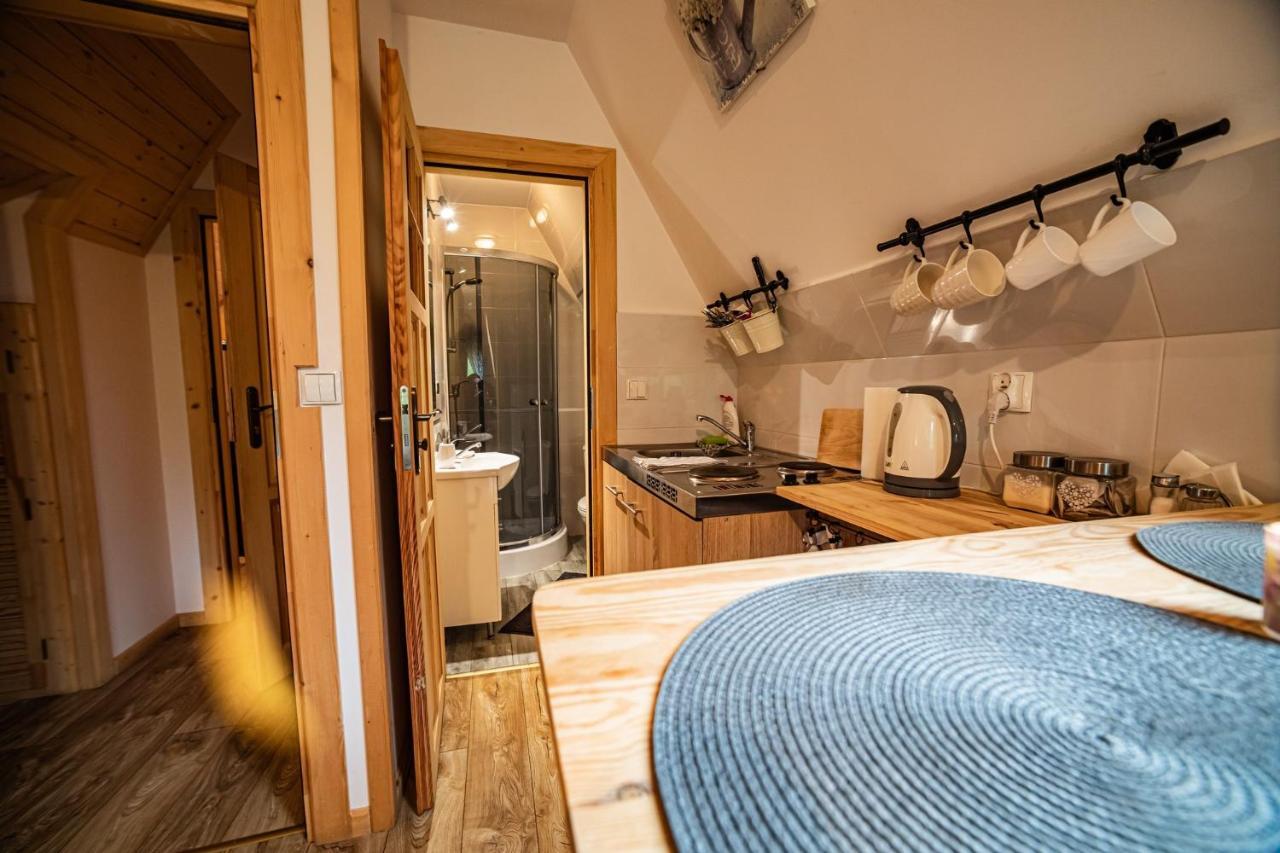 Apartament Stary Mlyn 扎科帕内 外观 照片