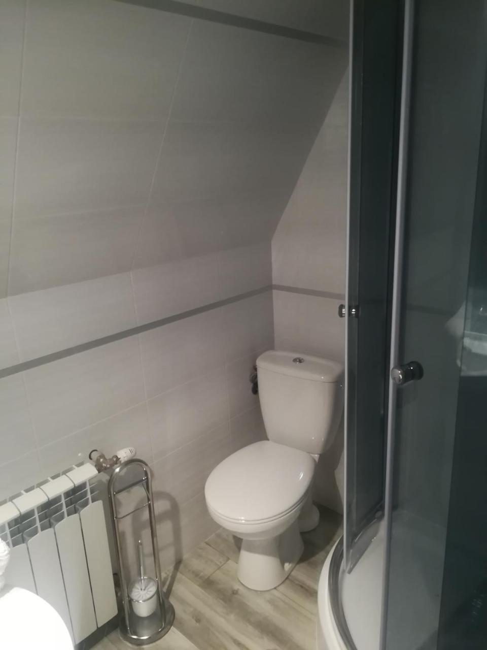 Apartament Stary Mlyn 扎科帕内 外观 照片